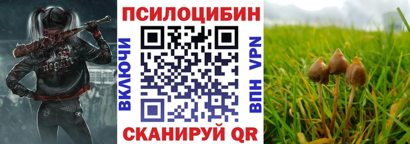 Псилоцибиновые грибы MAGIC MUSHROOMS гидра зеркало Протвино